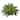 Nearly Natural Green 23-inch Boston Fern in Metallic Planter