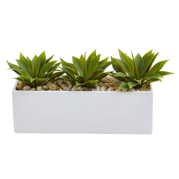slide 2 of 3, Agave Succulent in Rectangular Planter