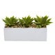 preview thumbnail 1 of 1, Agave Succulent in Rectangular Planter