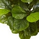 preview thumbnail 3 of 1, Nearly Natural Real Touch 4.5-foot Fiddle Leaf Fig