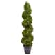 Boxwood Spiral Indoor/Outdoor Topiary with Planter