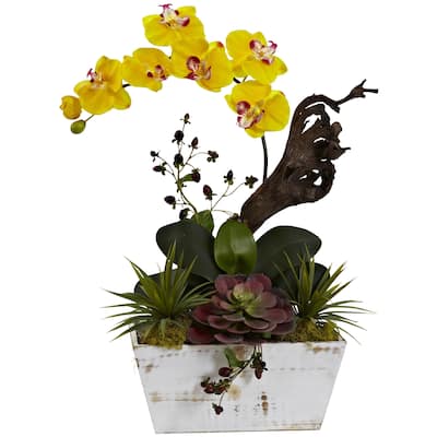 Yellow Orchid and Succulent Garden with White-wash Planter