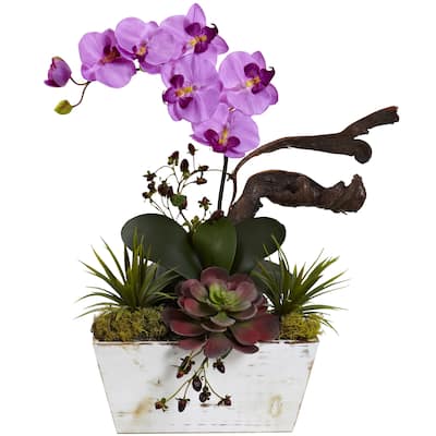 Mauve Orchid and Succulent Garden with White-wash Planter