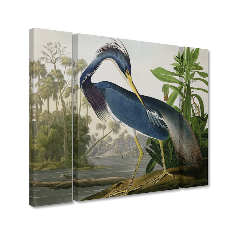 John James Audubon 'Louisiana Heron' Multi Panel Art Set