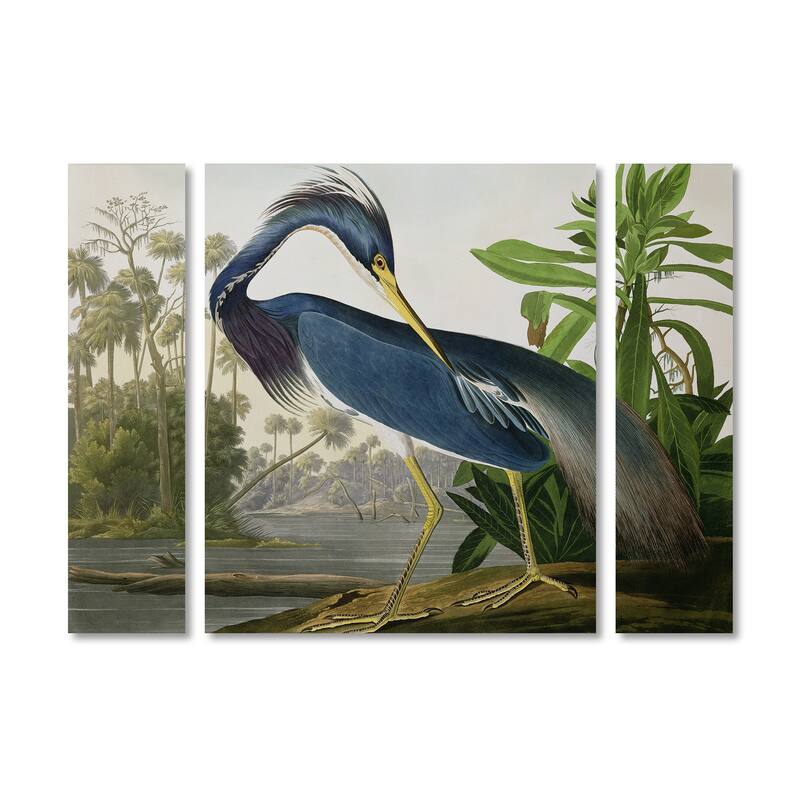 John James Audubon 'Louisiana Heron' Multi Panel Art Set