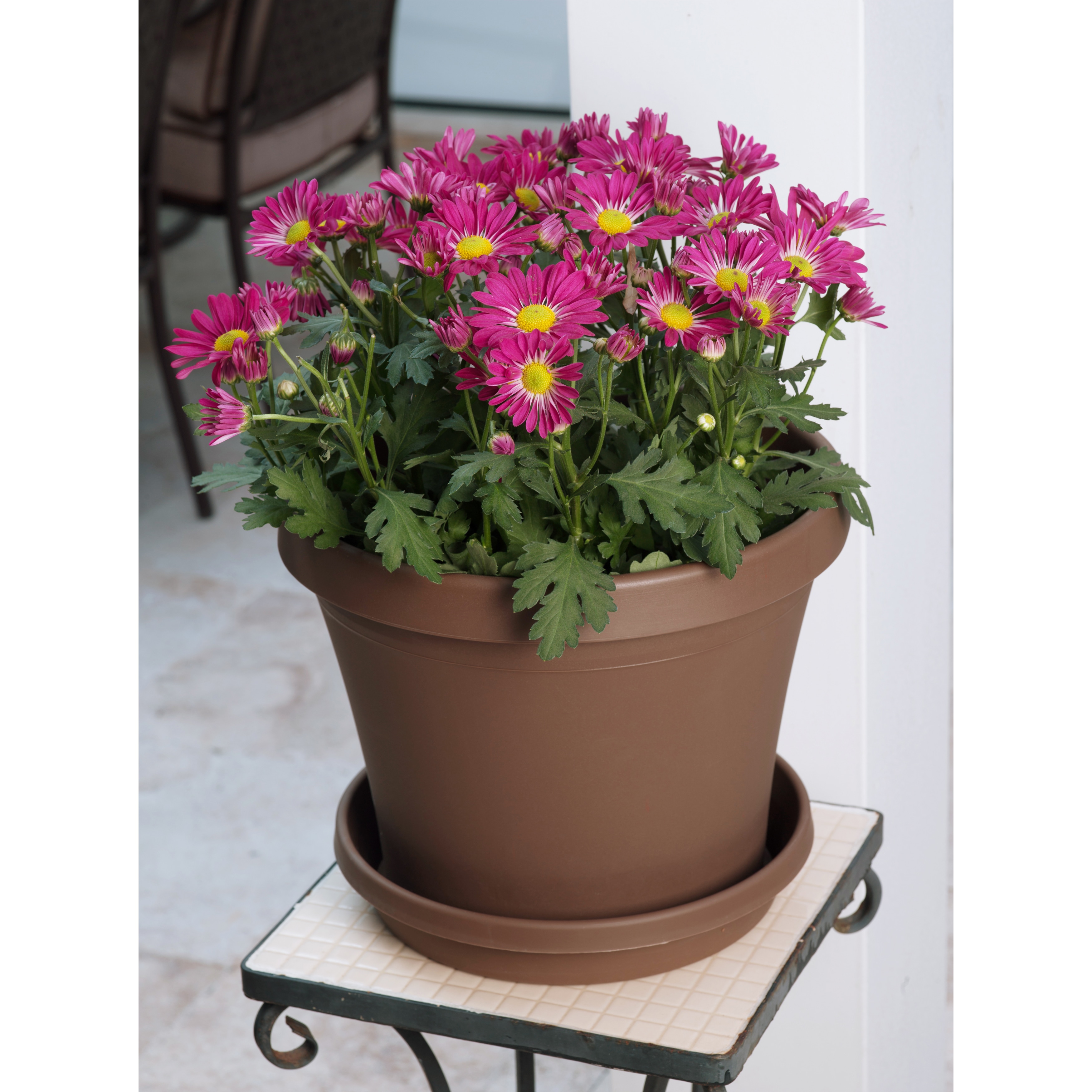 Bloem Terra Pot 6-inch Living Green Planter - Bed Bath & Beyond