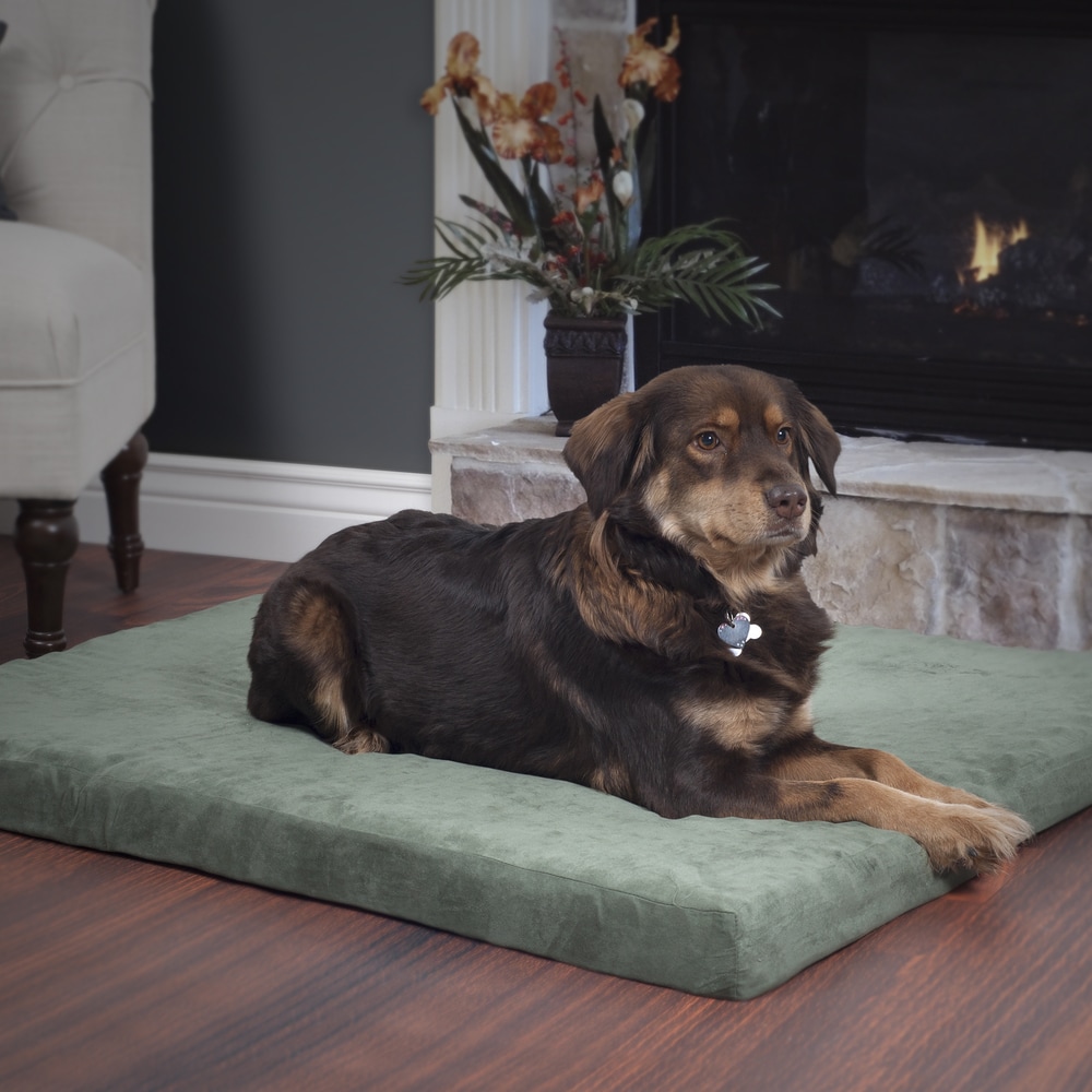 Petmaker memory foam dog bed best sale