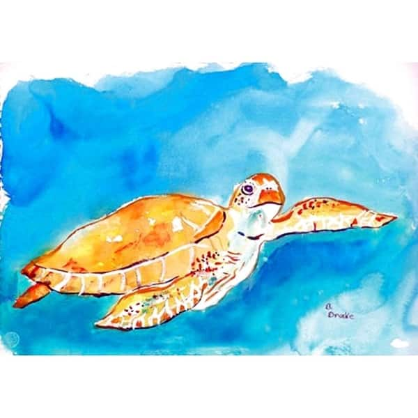 Shop Brown Sea Turtle Place Mat Set Of 4 On Sale Free Shipping