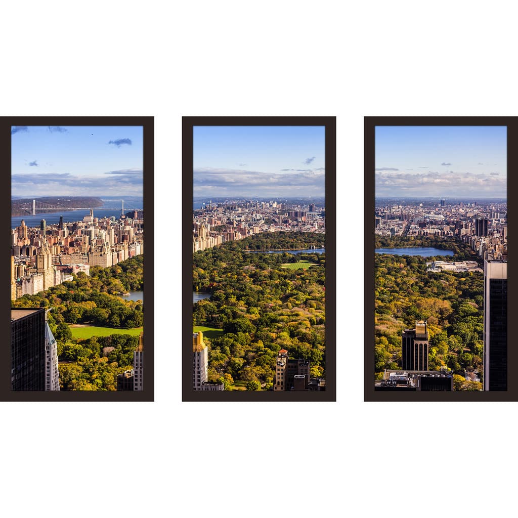 New York Central Park I' Framed Plexiglass Wall Art (Set of 3)
