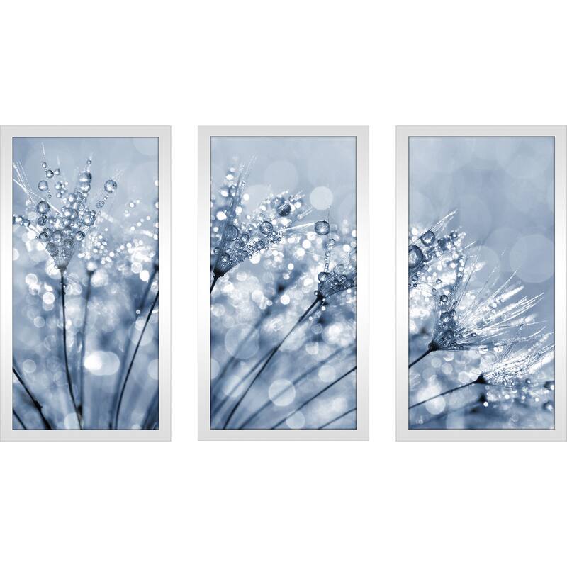 Dewy dandelion flower close up' Framed Plexiglass Wall Art (Set of 3)