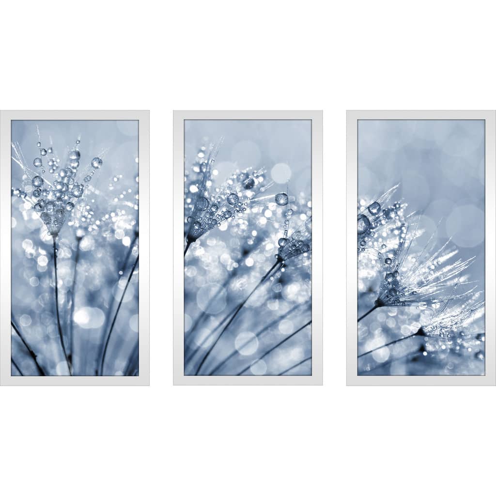Dewy dandelion flower close up' Framed Plexiglass Wall Art (Set of 3)