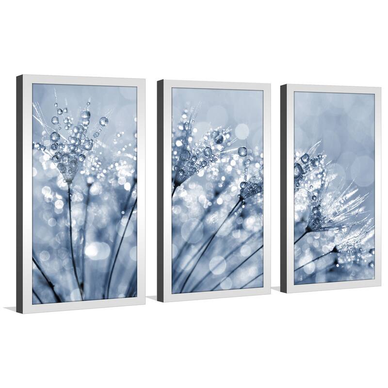 Dewy dandelion flower close up' Framed Plexiglass Wall Art (Set of 3)