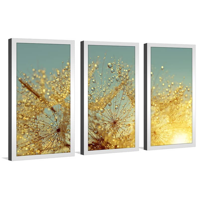 Dewy dandelion flower at sunrise close up Full' Framed Plexiglass Wall ...