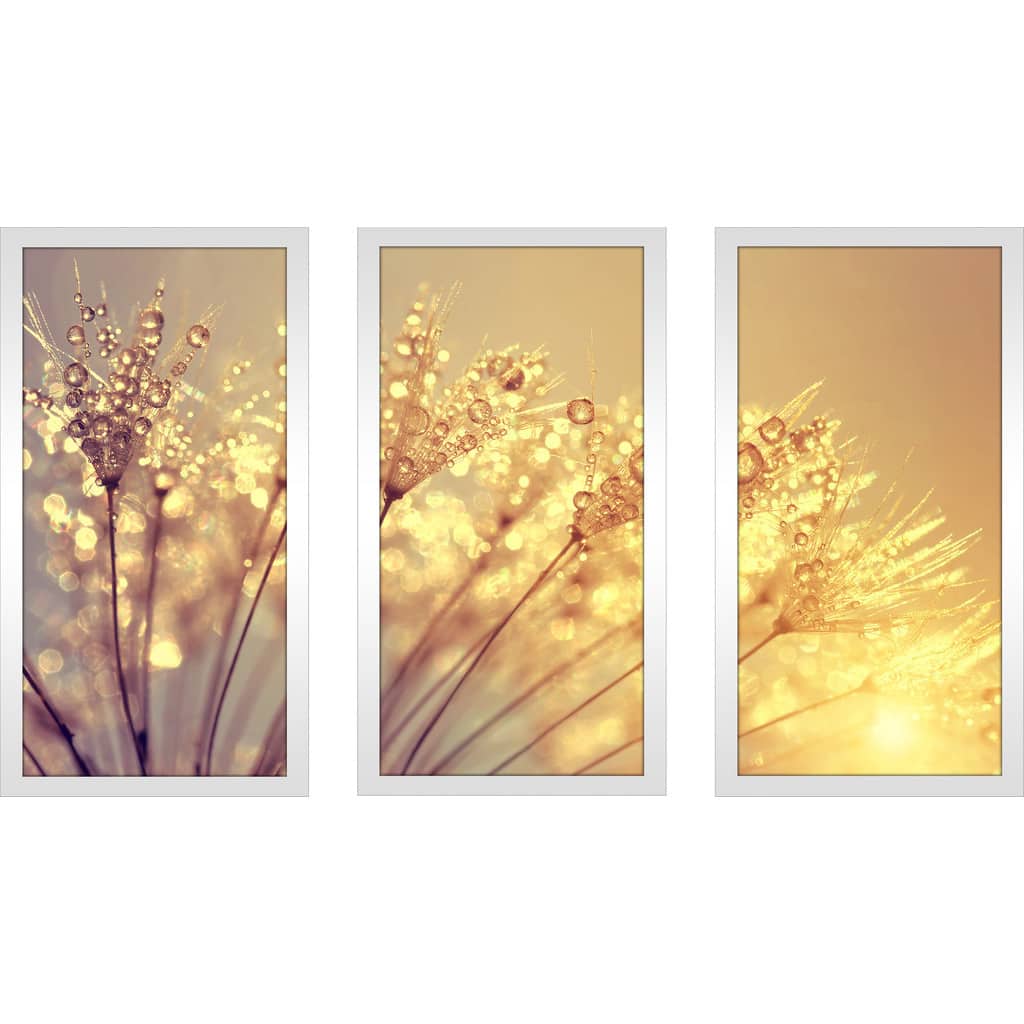 Dewy dandelion flower at sunset close up Full B' Framed Plexiglass Wall Art (Set of 3)