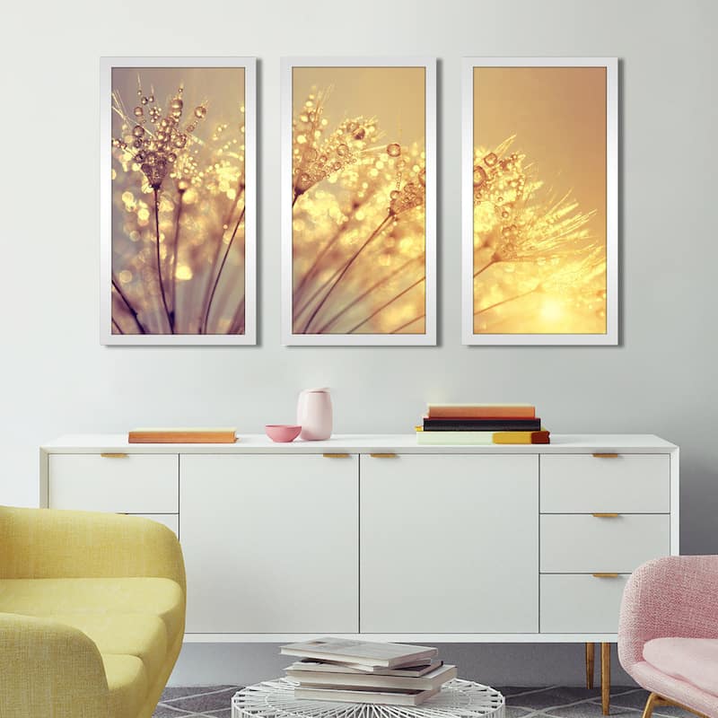 Dewy dandelion flower at sunset close up Full B' Framed Plexiglass Wall Art (Set of 3)