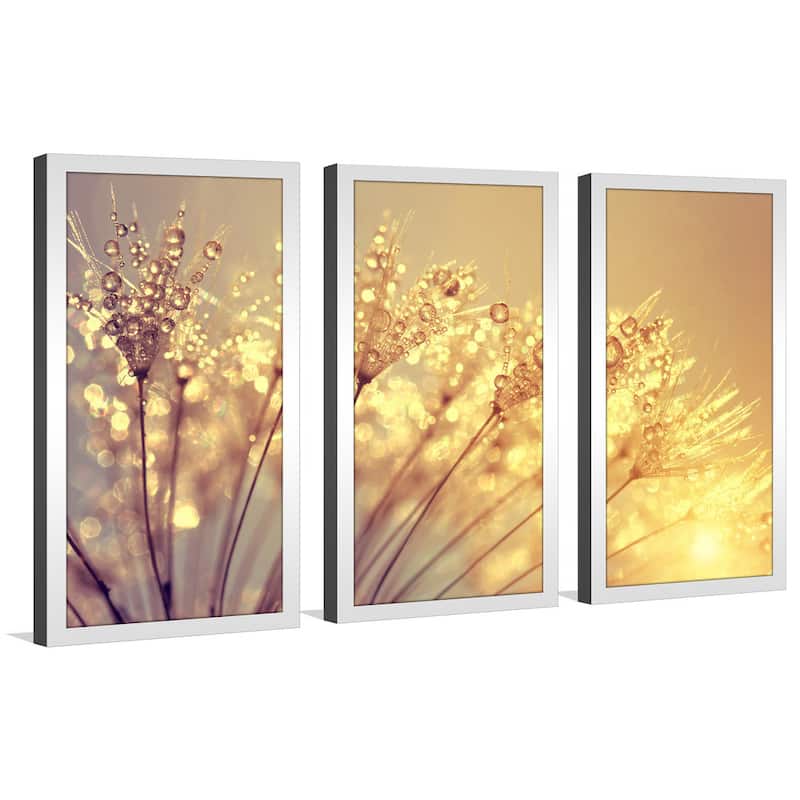 Dewy dandelion flower at sunset close up Full B' Framed Plexiglass Wall Art (Set of 3)