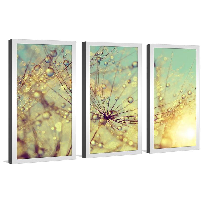 Dewy dandelion flower at sunset close up Full' Framed Plexiglass Wall Art (Set of 3)