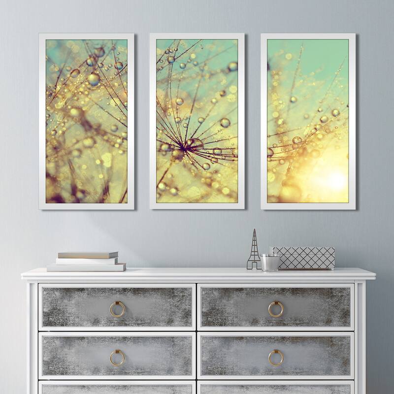 Dewy dandelion flower at sunset close up Full' Framed Plexiglass Wall Art (Set of 3)