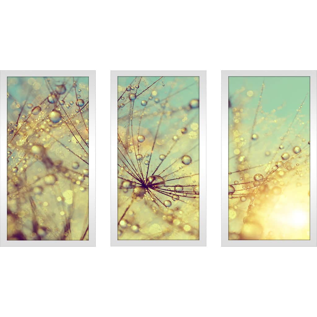 Dewy dandelion flower at sunset close up Full' Framed Plexiglass Wall Art (Set of 3)