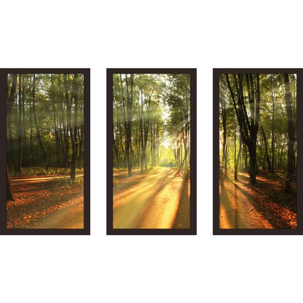 Fall landscape trees' Framed Plexiglass Wall Art (Set of 3) - Overstock ...