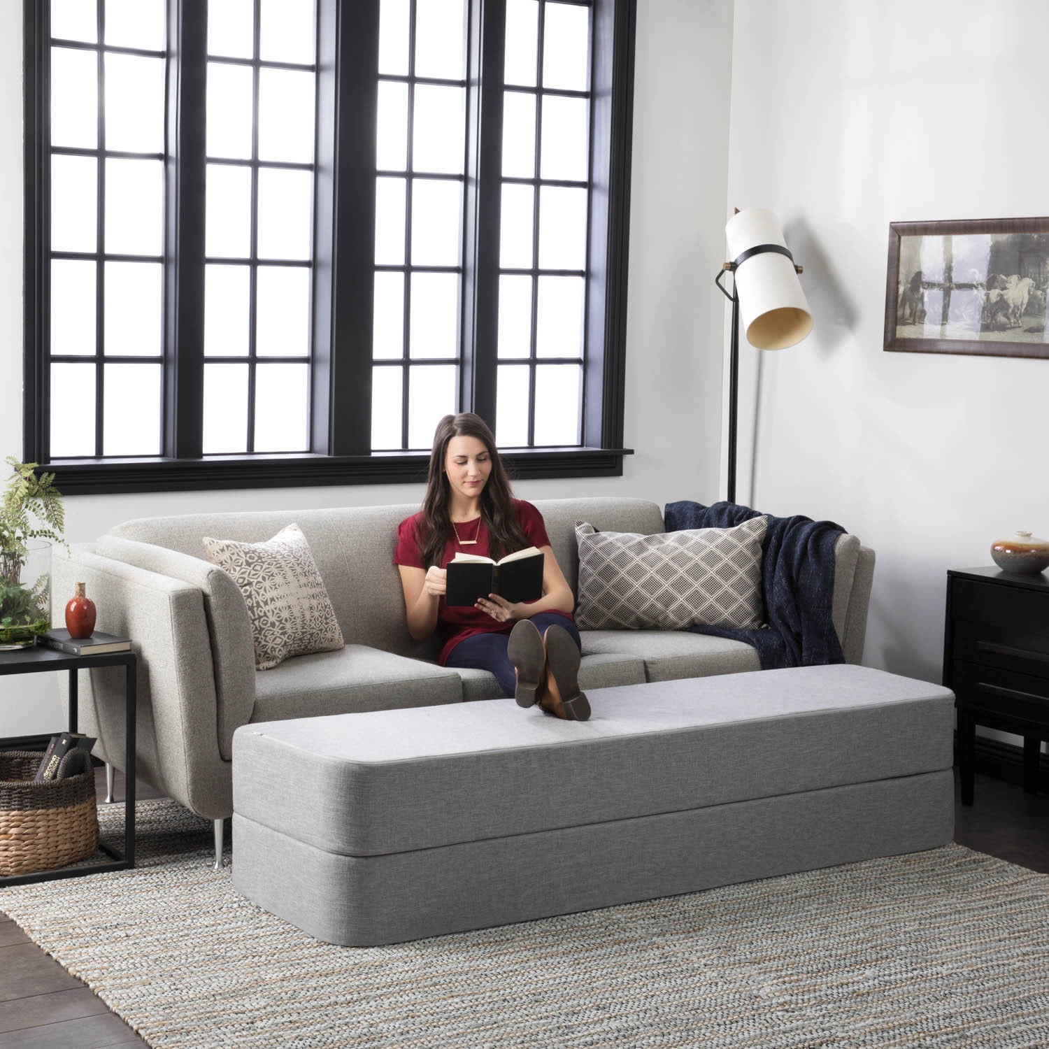 Lucid 2024 folding sofa