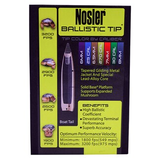 Nosler 6mm Bullets Ballistic Tip Hunting, 90 Grains, Spitzer, Per 50