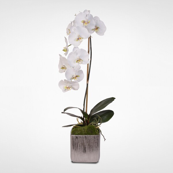 White Real Touch Silk Phalaenopsis Orchid in Metal Pot