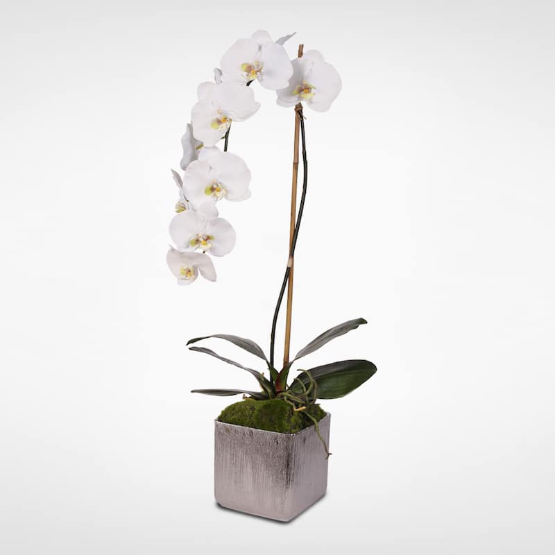 Real Touch Silk Phalaenopsis Orchid in Silver Ceramic Pot - White