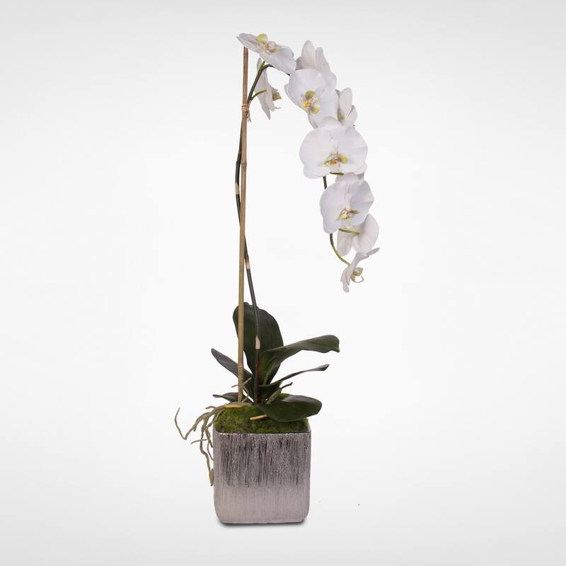 Real Touch Silk Phalaenopsis Orchid in Silver Ceramic Pot - White