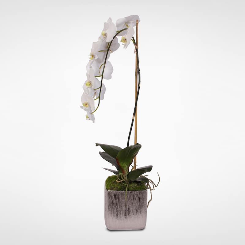 Real Touch Silk Phalaenopsis Orchid in Silver Ceramic Pot - White