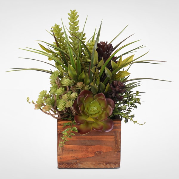 Shop Artificial Succulent Variety in Rustic Wood Planter - Free ...