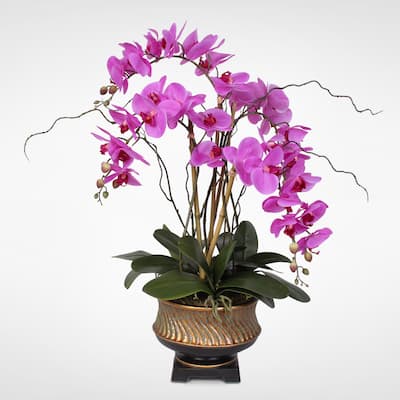Parisian Chic Purple Beauty Orchid Nestled in Gilded Vase