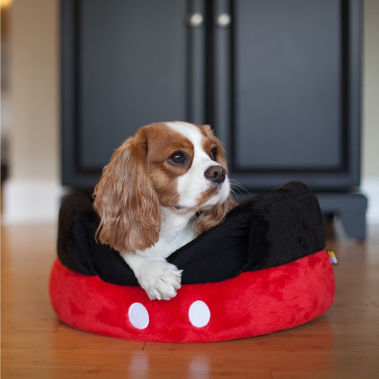 Disney Mickey Mouse Pants 2 in 1 Honeycomb Hut Cuddler Black Red Standard Dog Bed Cat Bed