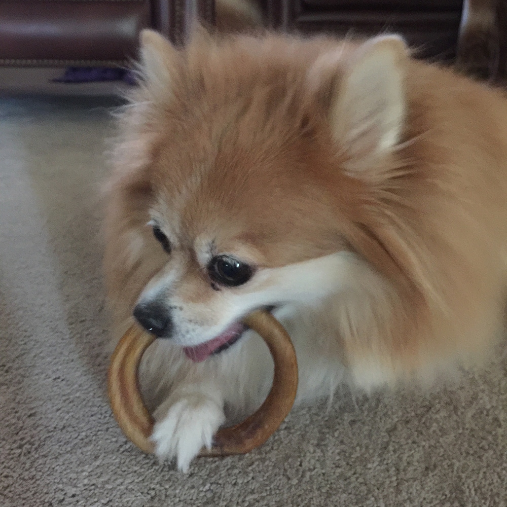 bully stick rings
