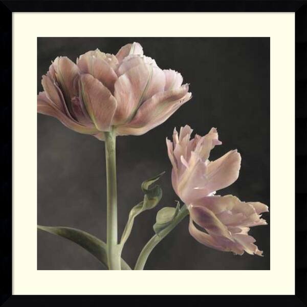 Framed Art Print 'Tulip II' by Sondra Wampler 23 x 23-inch - Bed Bath &  Beyond - 14429634