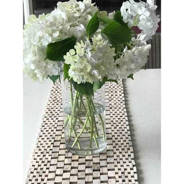 https://ak1.ostkcdn.com/images/products/14442824/White-Washed-Rosewood-Table-Runner-IPM082-61c665e4-8066-47e6-b863-a6d930f034b9_600.jpg?impolicy=medium