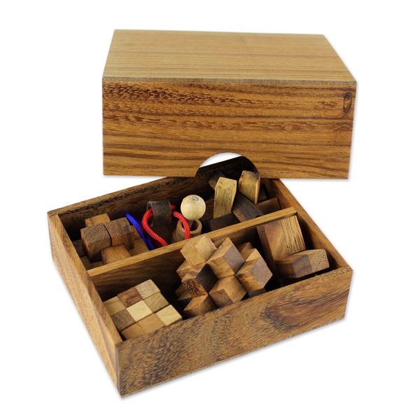 6 wooden block puzzle