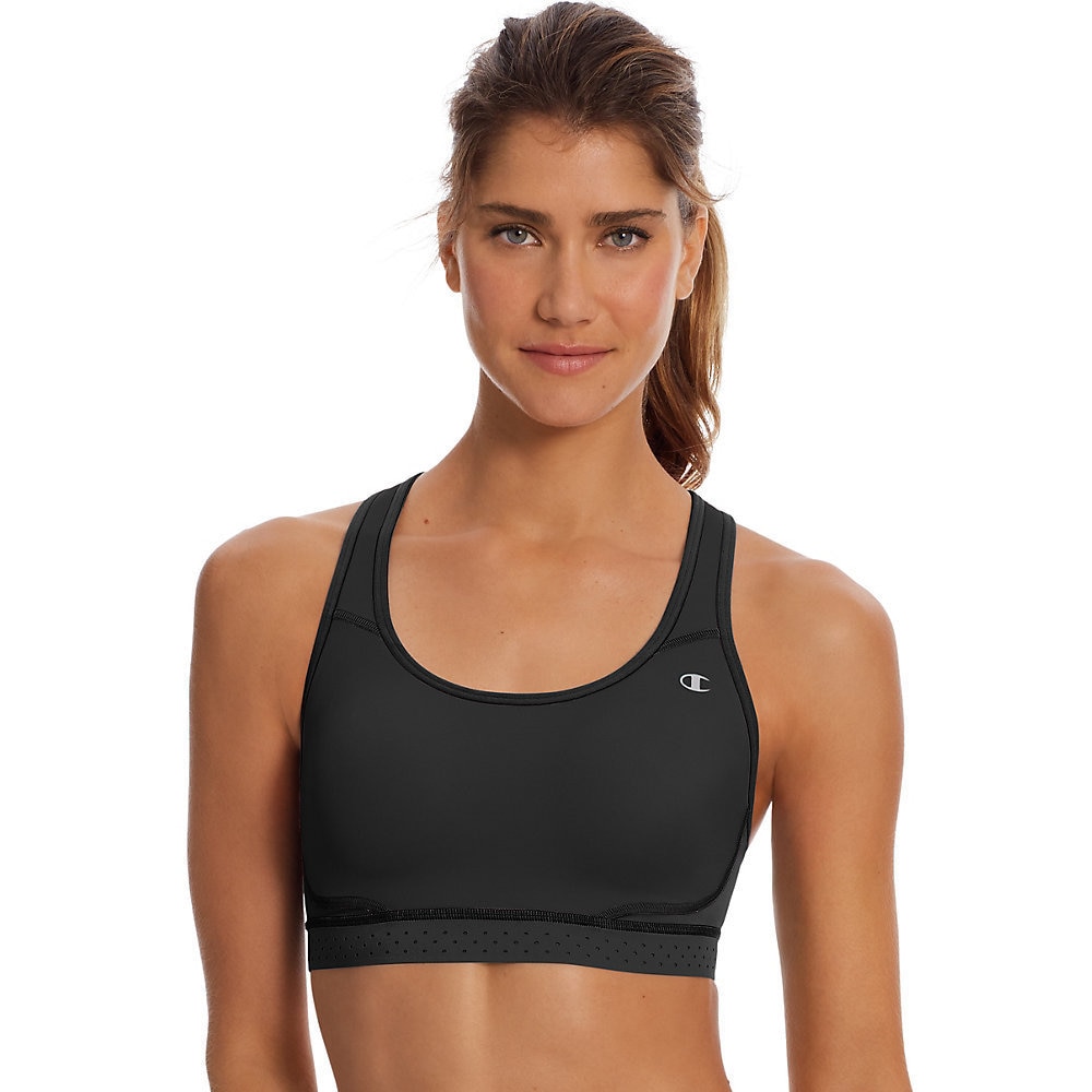 champion the absolute max sports bra