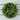 Artificial Opal Basil Leaf 11.5 inch Round Wreath by Pure Garden