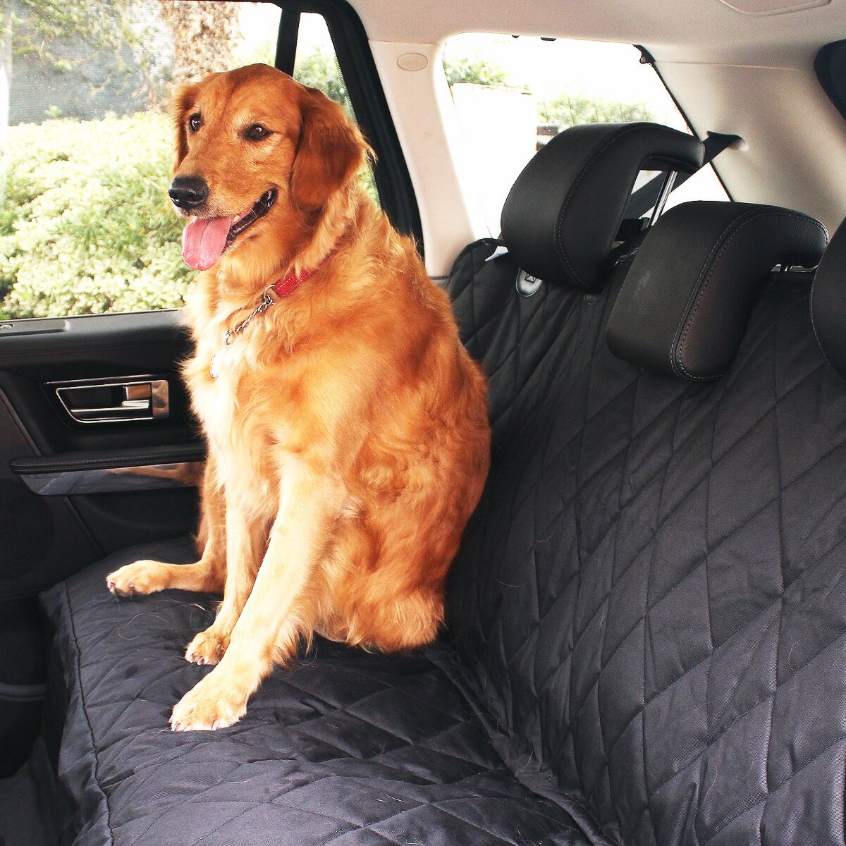 Гамак для собак в машину на заднее сиденье. Такси для животных. Визитка зоотакси. Перевозка собак спб. Клетка для перевозки собак в машине.