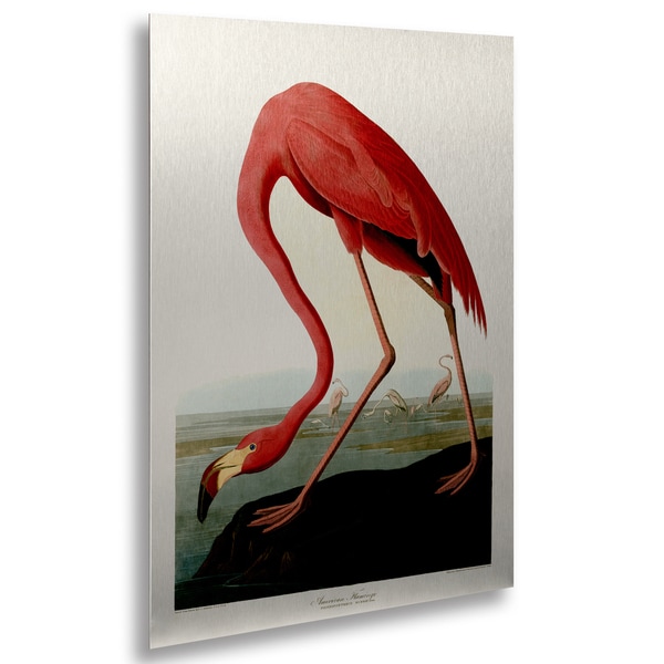 John James Audubon American Flamingo Floating Brushed John James Audubon X27 American Flamingo Floating Brushed