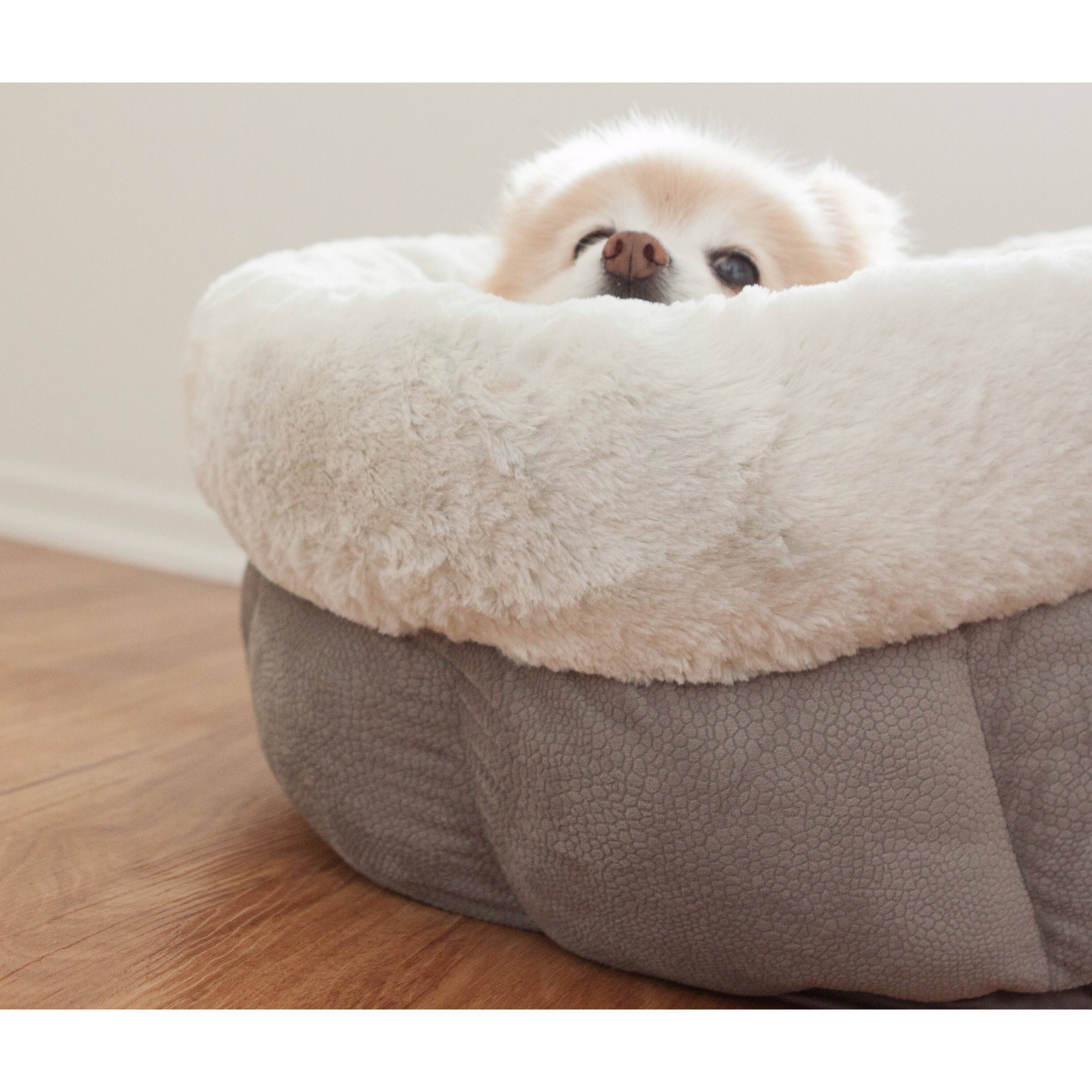 best friends cuddle cup dog bed