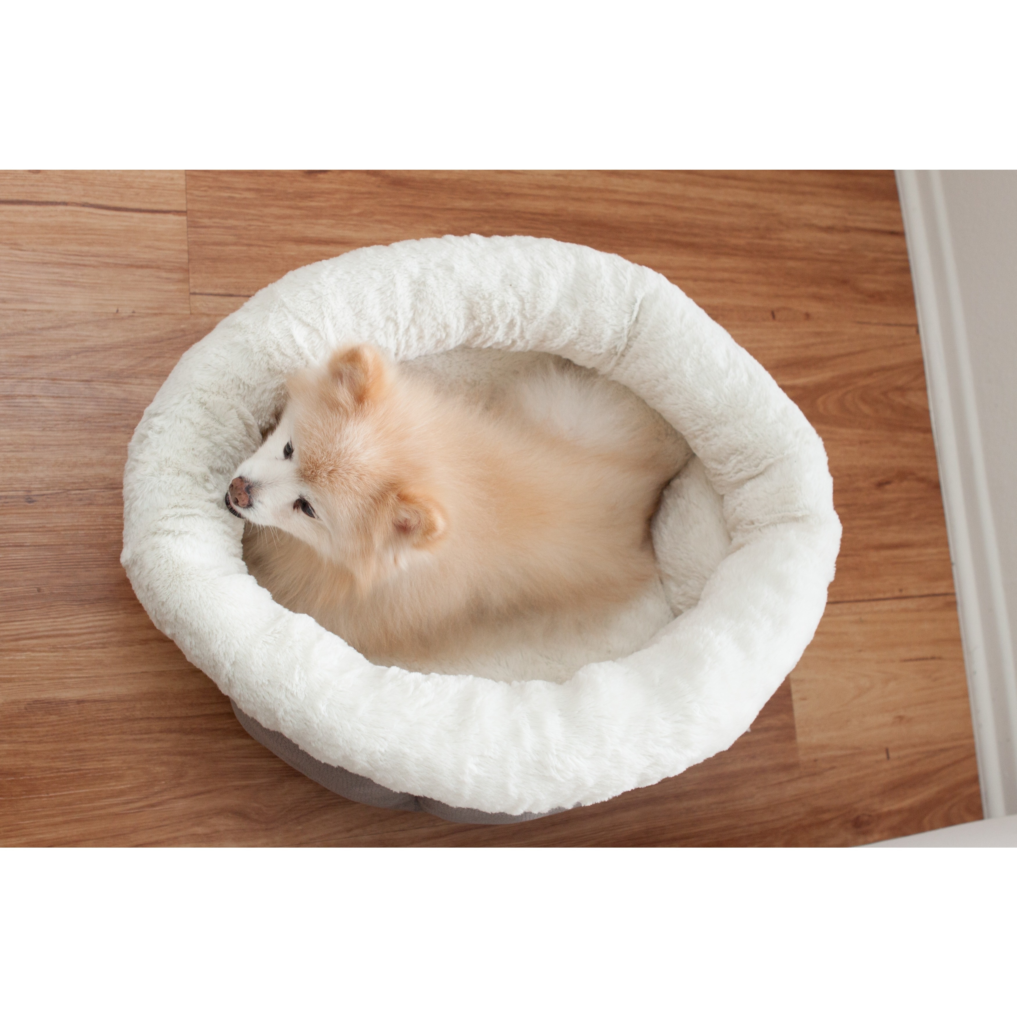 Best friends cuddle cup dog outlet bed