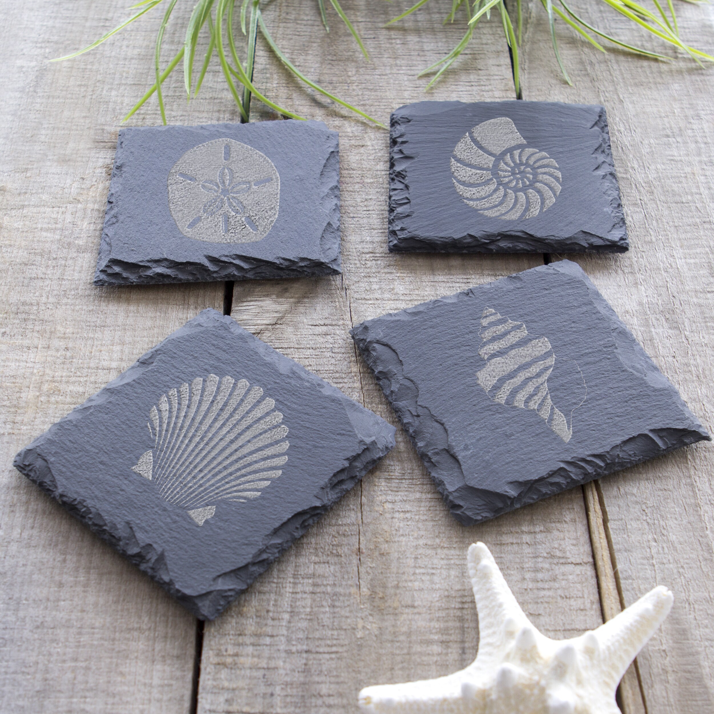 Counterart Absorbent Stone Car Linen Shells Seashells Coaster (Set of 2)