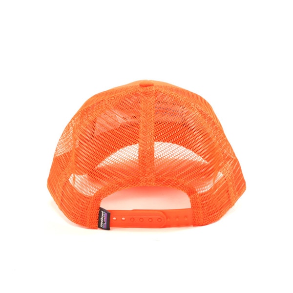 patagonia skull cap