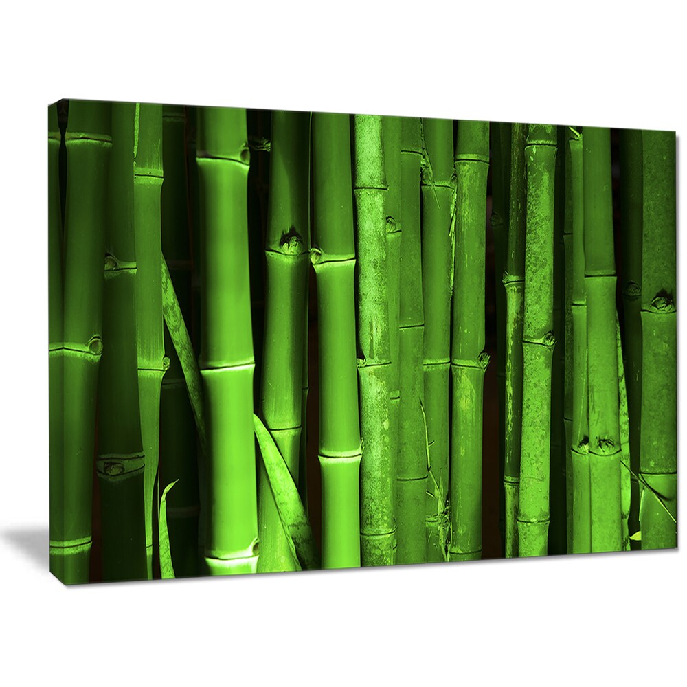 Designart Green Bamboo Forest Modern Floral Large Canvas Art Bed   Designart Green Bamboo Forest Modern Floral Large Canvas Art 4b58fd11 F969 4b69 Bcfb 1789780ceb08 1000 