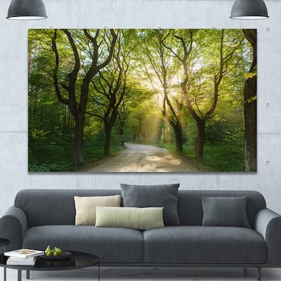 Designart "Evening in Green Forest" Extra Large Landscape Canvas Art Print