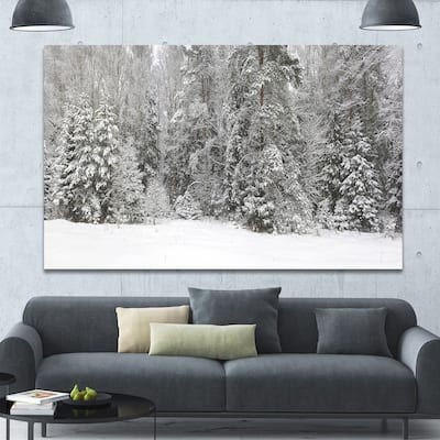Designart 'Foggy Winter Forest Panorama' Extra Large Landscape Canvas Art Print - Multi-color