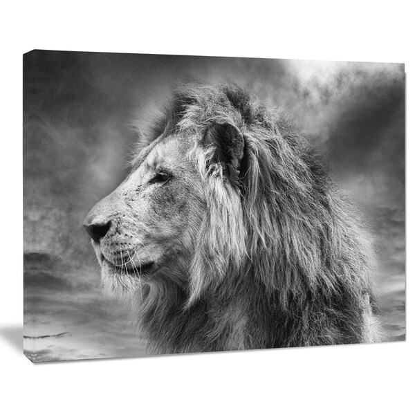 WILD AFRICAN LION HEAD W LARGE MANE ANIMAL PAINTING ART REAL CANVAS PRINT