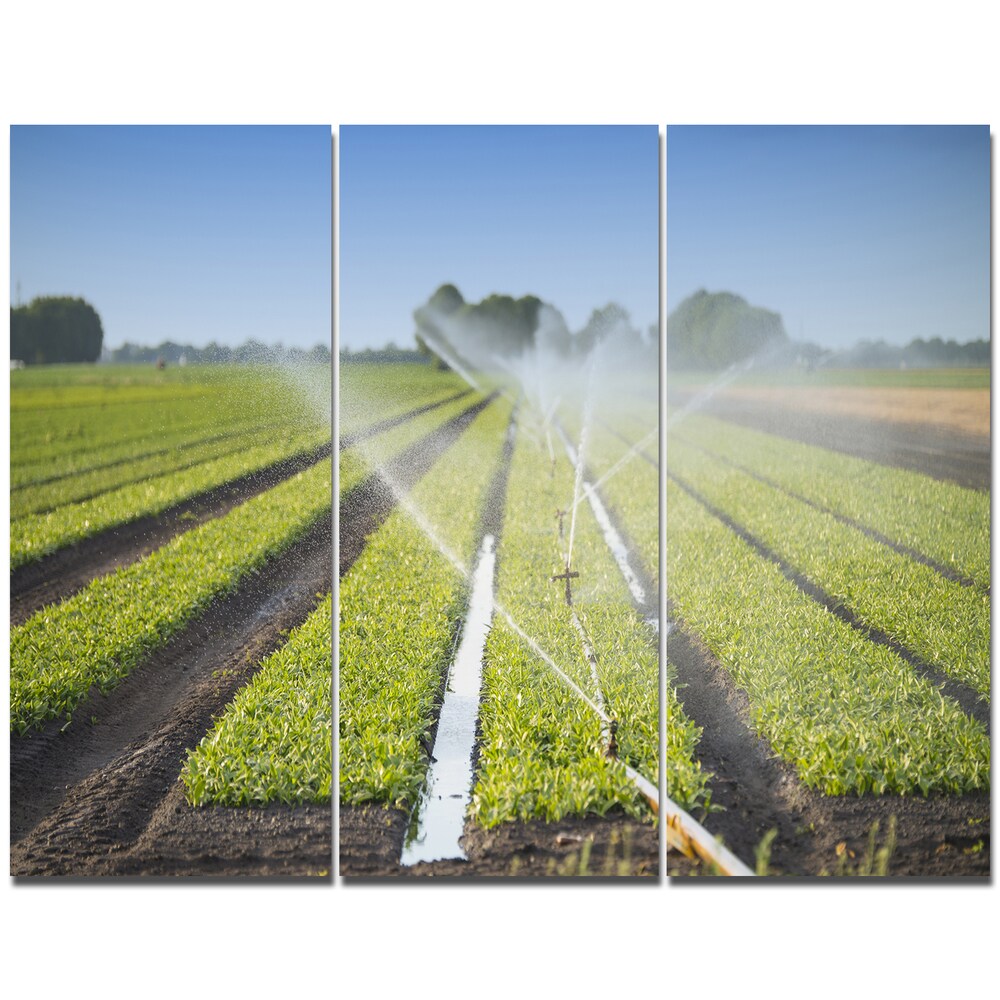 Designart \, image size:1000x1000